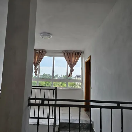 Libalaguna Velipojë